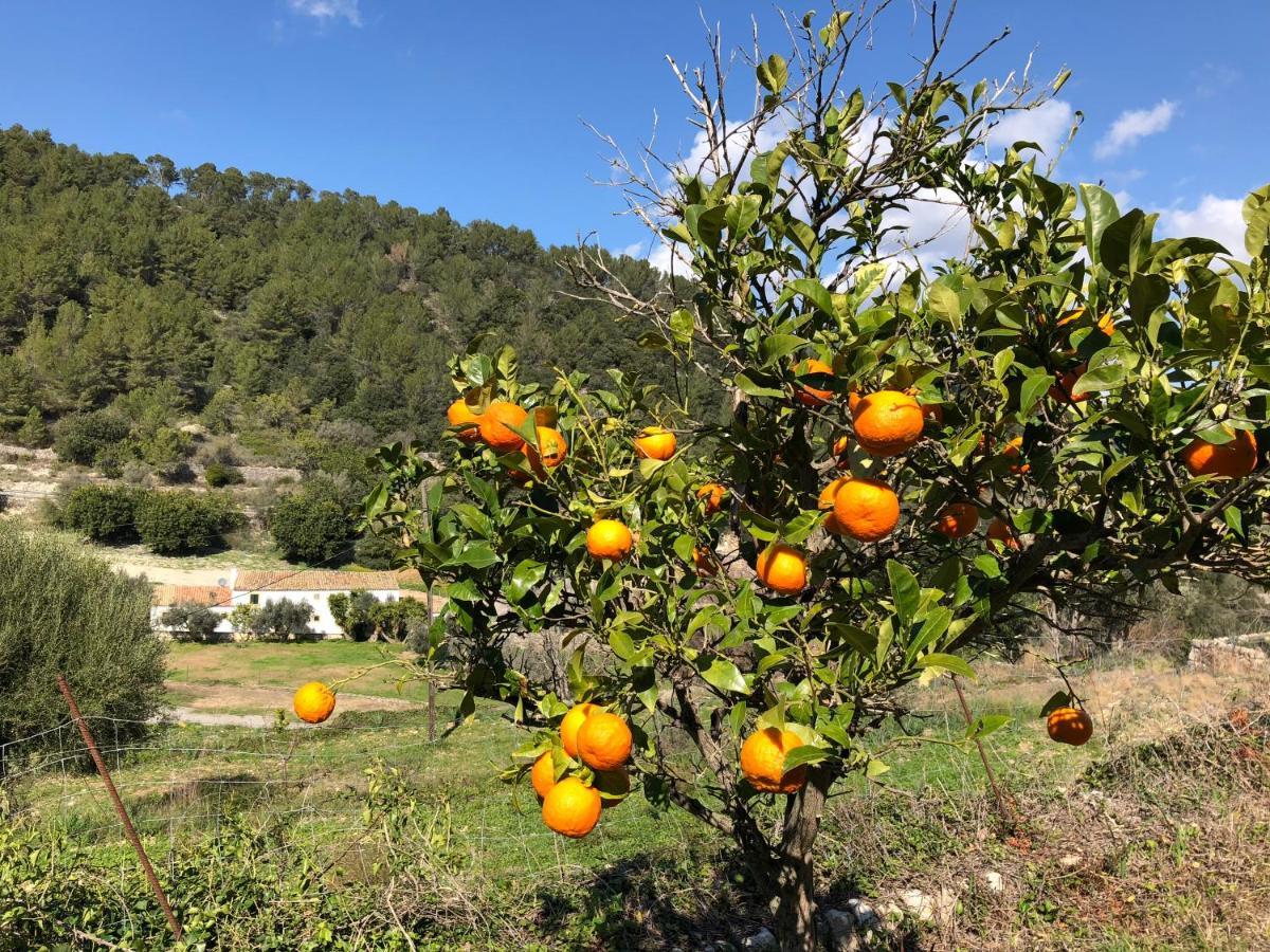 Penzion Agroturismo Finca Can Sec, Sl Lloseta Exteriér fotografie